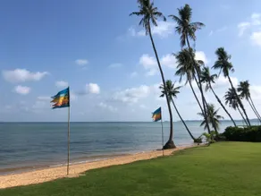 Little Moon Villa - Image 4