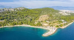 Adriatic Loridas - Image 3