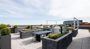 Gorgeous 1 Bedroom At Clarendon With Gym and Rooftop - Image 5