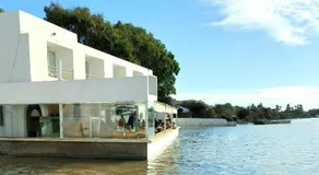 Ostrea - Lagune de Oualidia - Image 4