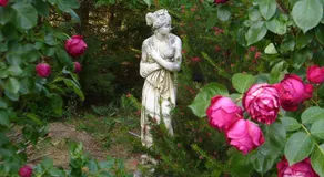 Maison d'hôtes Dyrslot - Image 5