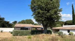 Le moulin D'angibaud - Image 5