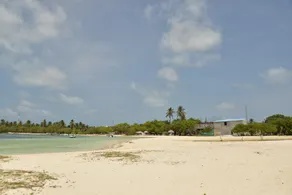 Moodhumaa Inn - Image 5