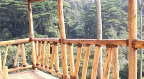 Amajani Gorilla Lodge - Image 4