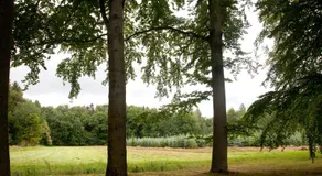 Lohwald-Appartment - Image 4