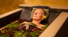 Jasmin Villa Ayurveda Resort - Image 4