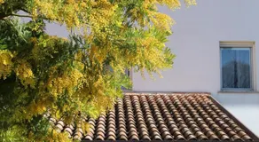 Alla Stazione - Image 3