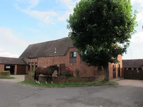 Bluebell Farm - Image 4