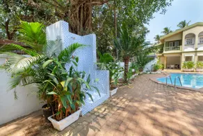 Casa Legend Economy - Image 5