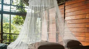 Borderlands Eco Lodge Kithulgala - Image 2