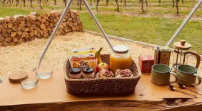 Domescapes in the Vines - Image 3