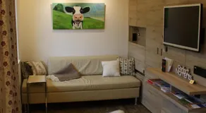 Design-Appartement Jochberg - Image 2