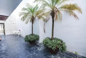 Hotel DNA Cancun - Image 3