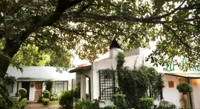 La Bella B&B Under The Fig Tree - Image 5