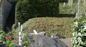 B&B L'ourthe - Image 4