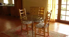 Teresinajamaica - Image 4