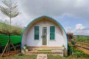 Rainbow Glamping - Image 4