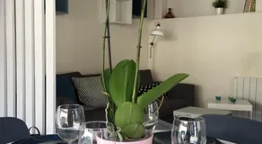 Saclay - Green and premium flat close Paris - WIFI & NETFLIX - Image 2