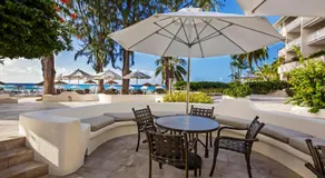 Bougainvillea Barbados - Image 4