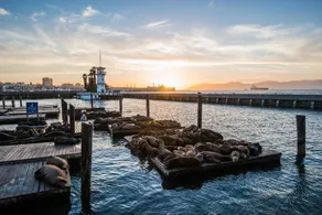 STUNNING WATERVIEW APARTMENT IN NORTH BEACH - Image 2