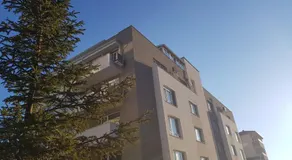 Rise & Shine Apartment - Image 3