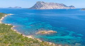 VILLA FOX: dit smukke sommerhus kun 850 m fra privat strand! - Image 5