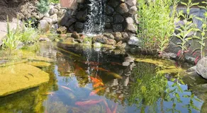 Vettebar Guesthouse - Image 3