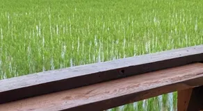 บ้านวิวนา Baan View Na - Image 3