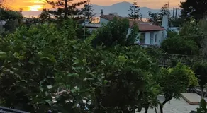 aggelos home - Image 5
