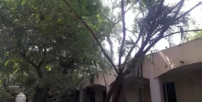 Hotel Sri Krishna - Image 5