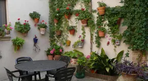 B&B Ra Tenaja - Image 3