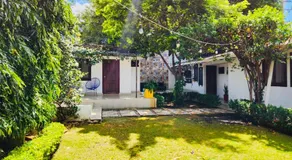 Casa San Juan 560 - Image 5