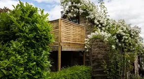 Brambles - Image 4