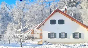 Turistična kmetija Hiša ob gozdu pri Ptuju - Image 5