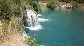 El Molino - Image 5
