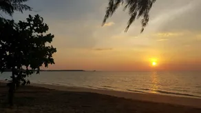 Phang nga farmstay - Image 4