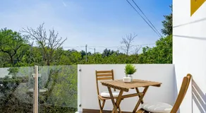 Quinta das Andorinhas - Image 5
