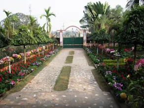 Rater Tara Diner Rabi Resort - Image 3