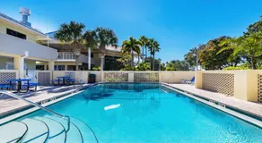 Come Stay Where the Dolphins Play! - Image 3