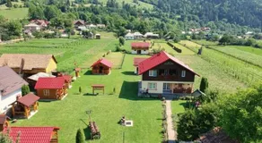 Casa Prundari Nicu și Mirela - Image 4
