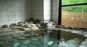 Ichigekan / Vacation STAY 8468 - Image 4