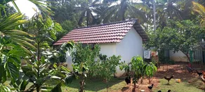 Tigers home stay - Image 4