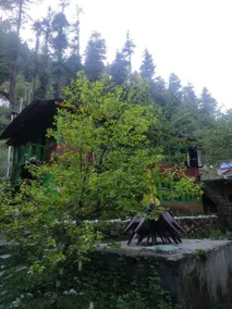 Cosy and comfortable stay next to river lato - Image 2