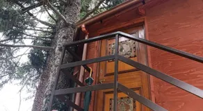 Casetta sull'albero - Image 5