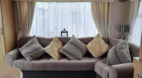 Sherwood golden palm - Image 3