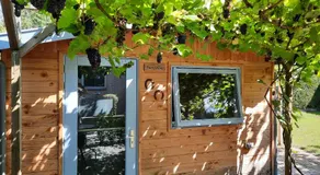 B&B Vogelhof - Image 5