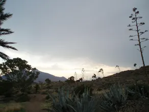 Strandhaus in La Isleta - Image 2