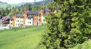 Pine Wood Apartment - Image 5
