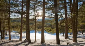 Adirondack Mountain View Retreat - Image 3