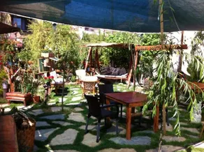 Ala Konukevi Ağva - Image 5